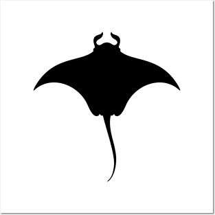 manta ray Posters and Art